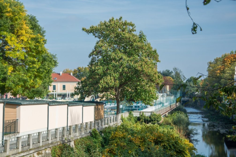 Zu den Quellen in Baden bei Wien Gehen mit Yemanja