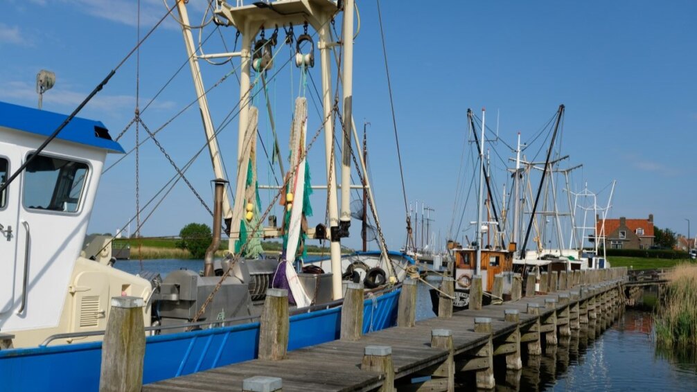 Der Gemeindehafen in Makkum