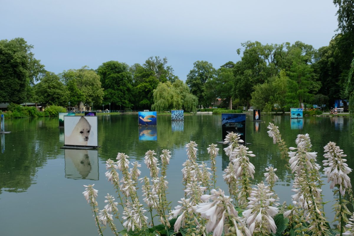 Fotofestival La Gacilly in Baden