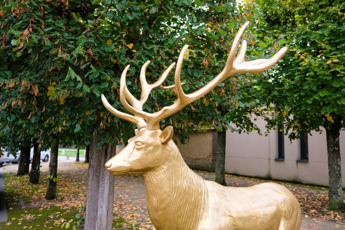 Goldener Hirsch in Anet