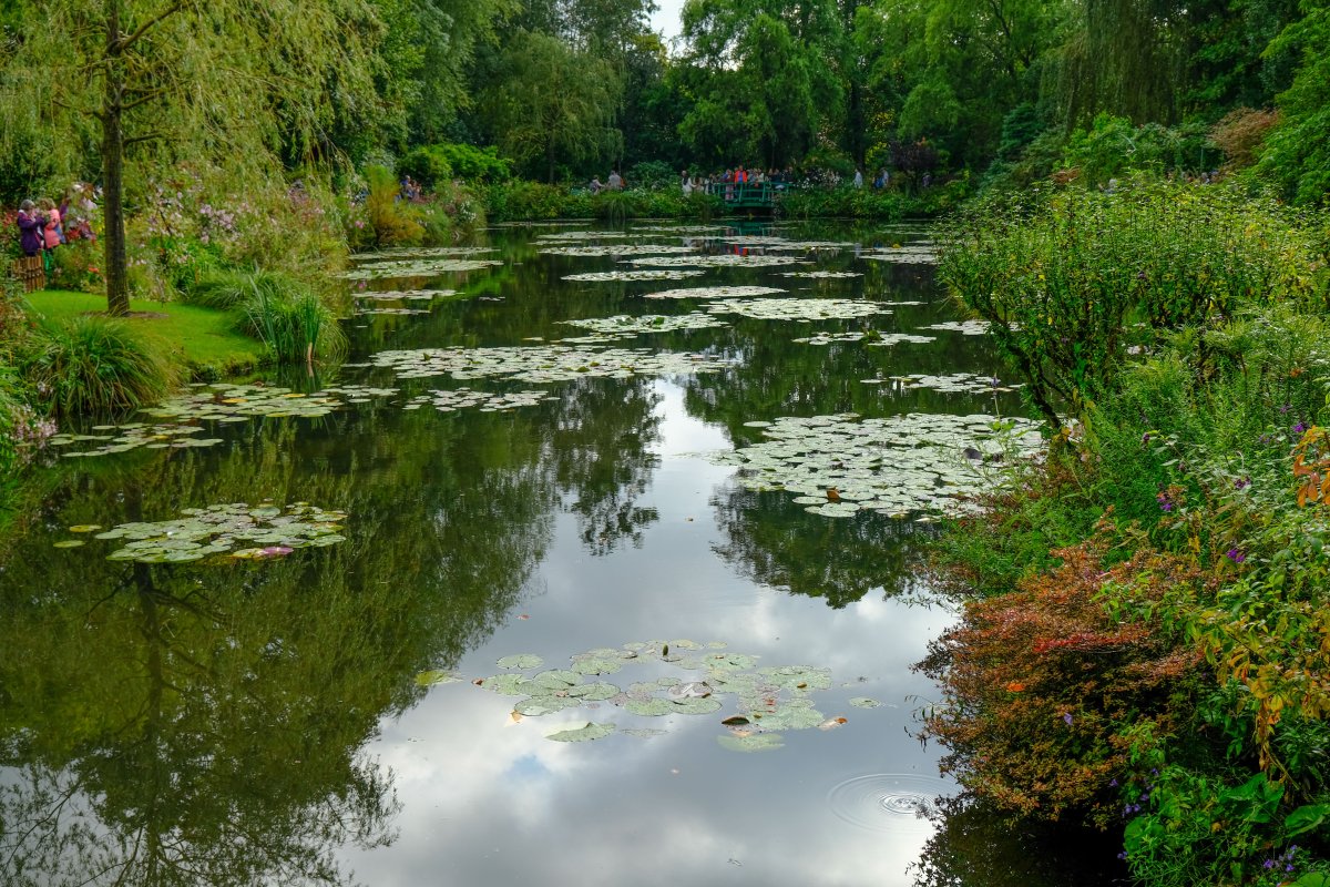 Seerosenteich in Giverny